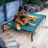 outdoor elevated weatherproof dog bed