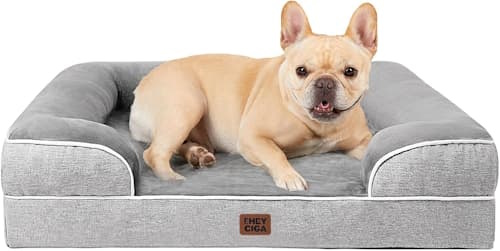 orthopedic dog bed for medium sized dogs