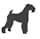 Airedale Terrier standing icon image Airedale Terrier standing icon image