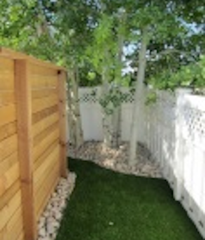 designated dog potty area enclosed in back side yard for dog potty breaks