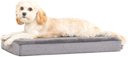 bark box platform pillow dog bed