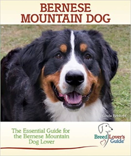 bernese guide book for owners