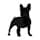 Boston Terrier standing icon image Boston Terrier standing icon image