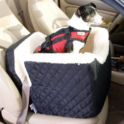 car seat for dog