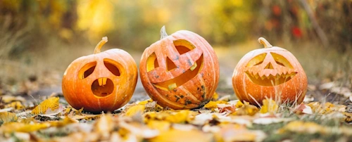 three carved pumpkins on the ground in leavy setting