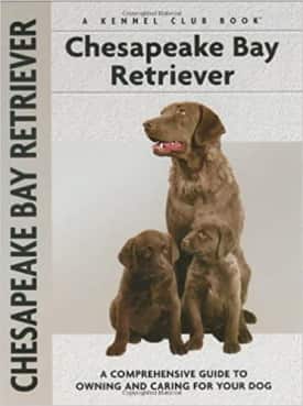 Chesapeake Bay Retriever dog guide book
