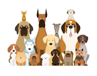clipart dog group different breeds