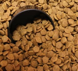 dog kibble with scoop