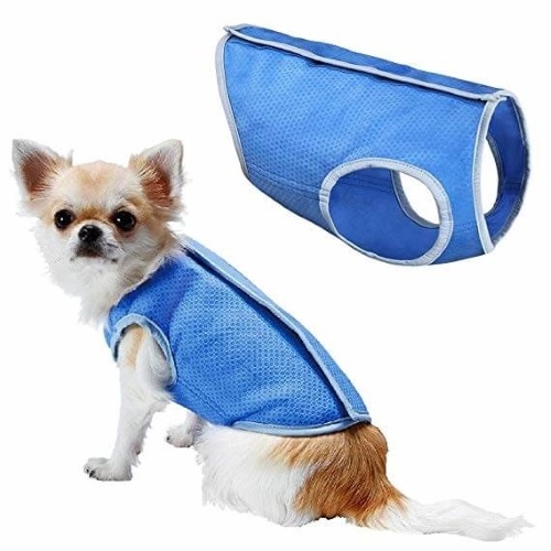 cooling vest jacket for dog