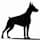 Doberman Pinscher standing icon image Doberman Pinscher standing icon image