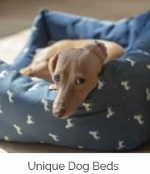 best dog beds