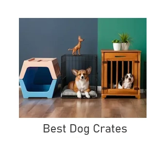 three dog crates in a row