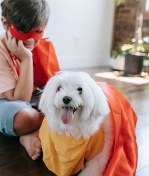 child and dog dressed for Halloween