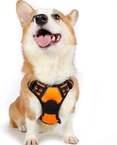 adjustable dog harness no pull