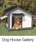 variety of dog houses