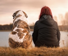 Dog and Woman sitting Dog and woman sitting back view
