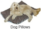 dog pillow beds