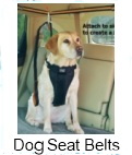 dog seat belts