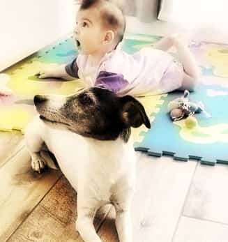 dog lying down next to baby