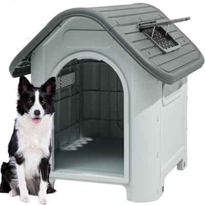plastic dog house with skylight