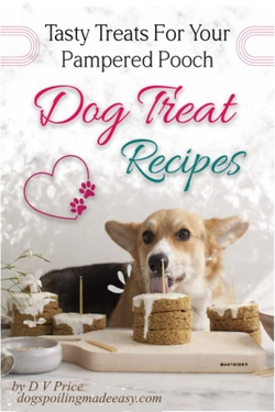 dog treat recipe book