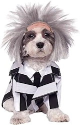 dog costume beetle juice
