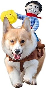dog costume cowboy