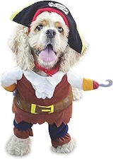 dog costume pirates