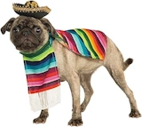 dog costume sombrero
