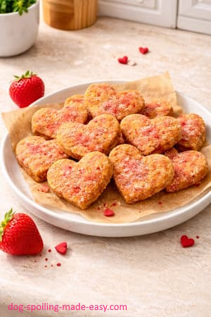 Heart shaped dog treats on a plate