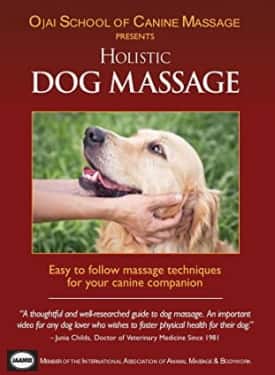 dog massage dvd