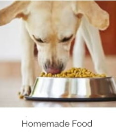 homemade dog food recipes