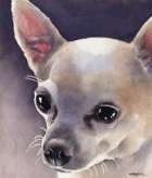 <i>Chihuahua art print details below</i>