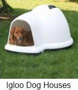 igloo-shaped dog houses