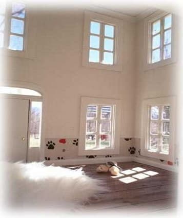 dog house inside home