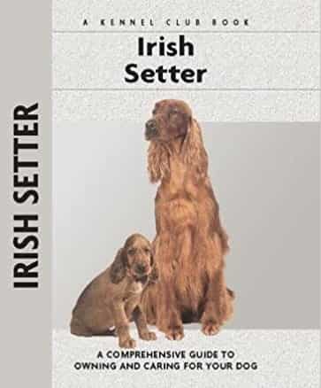 Irish Setter dog breed guide book