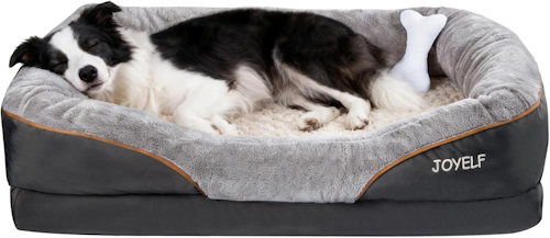 dog resting in a memory foam dog bed