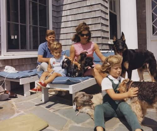 President John Kennedy With Family and Dogs john kennedy family with their dogs