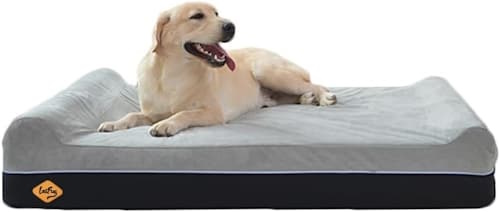 dog resting on Laifug orthopedic dog bed