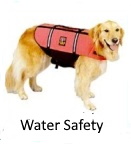 dog life jacket for water activities