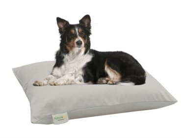 organic dog bed
