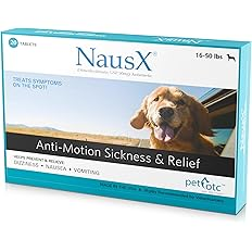 motion sickness relief for dogs