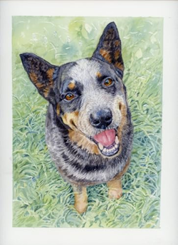 pet portrait in watercolor