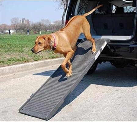 tailgate dog ramp