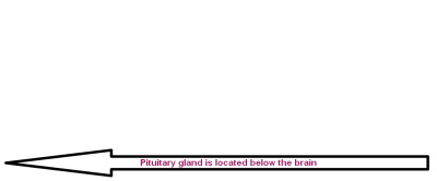 drawing of arrow pointing to the left