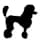 poodle dog standing icon image poodle dog standing icon image