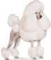 Miniature Poodle image