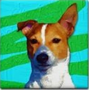 popartpet-jack-russell-image