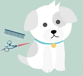 puppy with grooming tools
