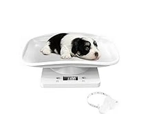 puppy on a weight scale